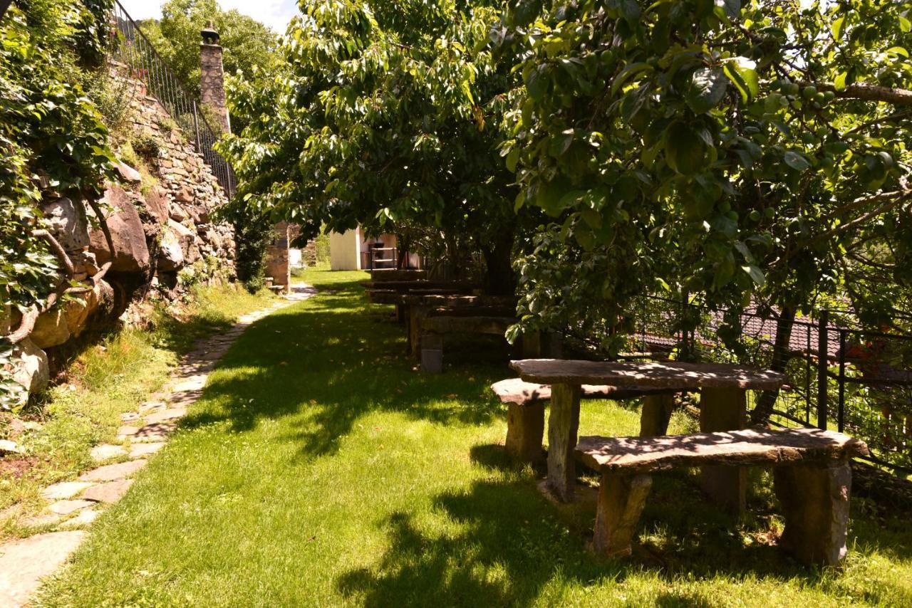 Hotel Balcon Del Pirineo Rural Ordesa Buesa Esterno foto